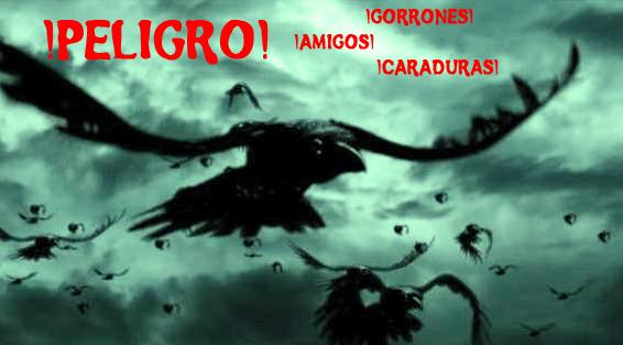 20060319175201-cuervos.jpg
